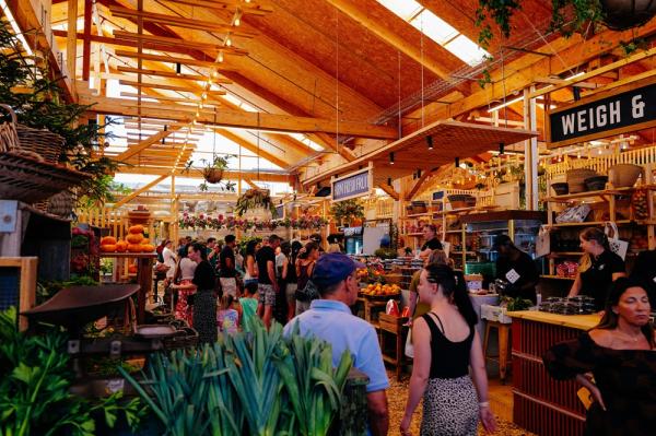 How Farm Diversification Works When There Is No Capital to Spend